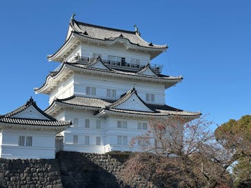 小田原城に投稿された画像（2024/12/3）