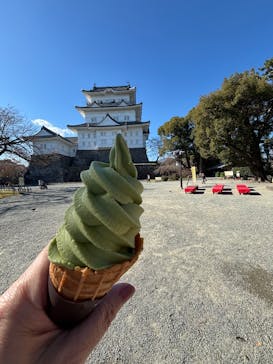 小田原城に投稿された画像（2024/12/3）