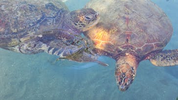 もとぶ元気村に投稿された画像（2024/12/3）