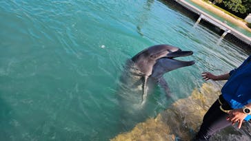 もとぶ元気村に投稿された画像（2024/12/3）