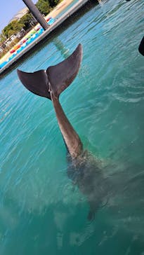 もとぶ元気村に投稿された画像（2024/12/3）