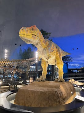 福井県立恐竜博物館に投稿された画像（2024/12/3）