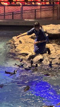 すみだ水族館に投稿された画像（2024/12/3）