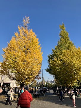 モネ 睡蓮のとき（国立西洋美術館）に投稿された画像（2024/12/3）