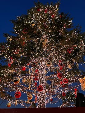 Christmas Market in 横浜赤レンガ倉庫 2025に投稿された画像（2024/12/3）