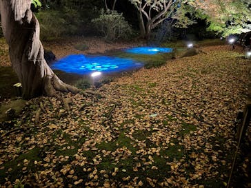 六義園に投稿された画像（2024/12/3）