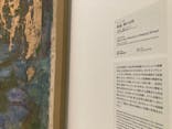 モネ 睡蓮のとき（国立西洋美術館）に投稿された画像（2024/12/3）