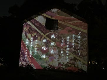 六義園に投稿された画像（2024/12/3）