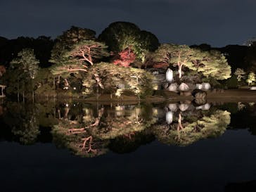 六義園に投稿された画像（2024/12/3）