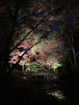 六義園に投稿された画像（2024/12/3）