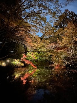 六義園に投稿された画像（2024/12/3）