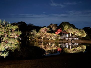 六義園に投稿された画像（2024/12/3）