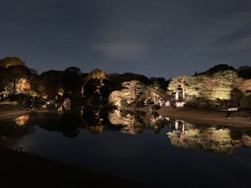 六義園に投稿された画像（2024/12/3）