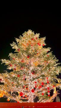 Christmas Market in 横浜赤レンガ倉庫 2025に投稿された画像（2024/12/3）