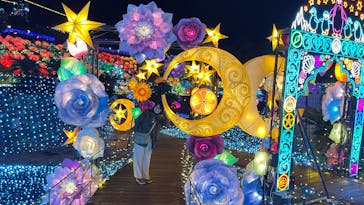 伊豆高原グランイルミに投稿された画像（2024/12/3）