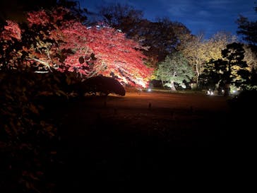 六義園に投稿された画像（2024/12/3）