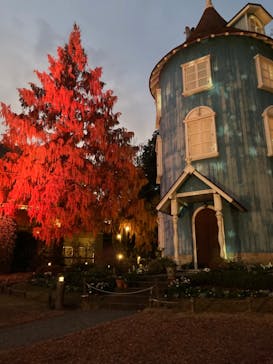 ムーミンバレーパークに投稿された画像（2024/12/3）