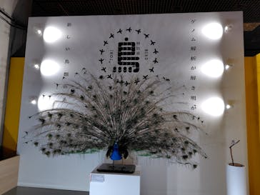 特別展「鳥 ～ゲノム解析が解き明かす新しい鳥類の系統～」国立科学博物館に投稿された画像（2024/12/3）