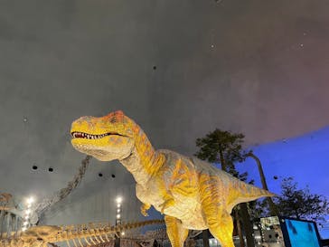 福井県立恐竜博物館に投稿された画像（2024/12/3）