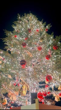 Christmas Market in 横浜赤レンガ倉庫 2025に投稿された画像（2024/12/3）