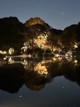 六義園に投稿された画像（2024/12/3）