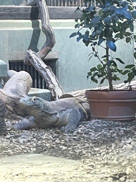 名古屋市東山動植物園に投稿された画像（2024/12/3）