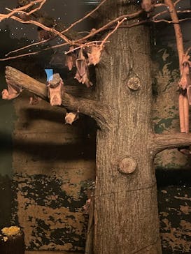 名古屋市東山動植物園に投稿された画像（2024/12/3）