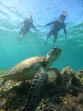 nico 宮古島に投稿された画像（2024/12/3）