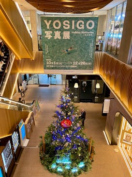 YOSIGO 写真展 Holiday Memories - 旅の瞬間 -に投稿された画像（2024/12/3）