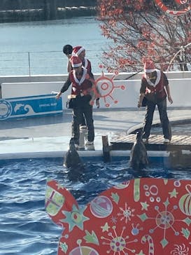 九十九島パールシーリゾートに投稿された画像（2024/12/3）