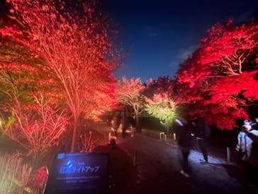 NAKED meets 二条城 2025 観月に投稿された画像（2024/12/3）