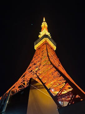 東京タワーに投稿された画像（2024/12/3）