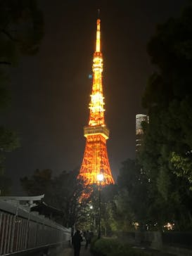 東京タワーに投稿された画像（2024/12/3）