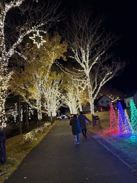 修善寺虹の郷に投稿された画像（2024/12/3）