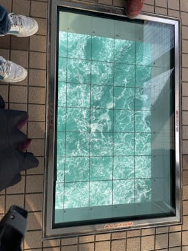 徳島県立 渦の道に投稿された画像（2024/12/4）