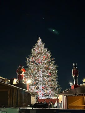 Christmas Market in 横浜赤レンガ倉庫 2025に投稿された画像（2024/12/4）