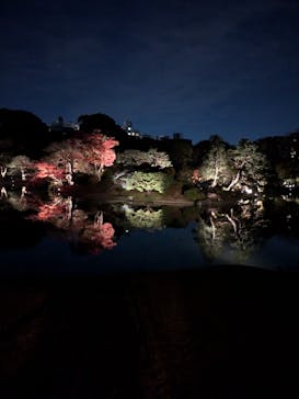 六義園に投稿された画像（2024/12/4）