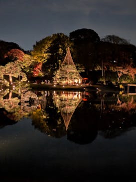 六義園に投稿された画像（2024/12/4）