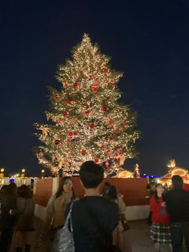 Christmas Market in 横浜赤レンガ倉庫 2025に投稿された画像（2024/12/4）