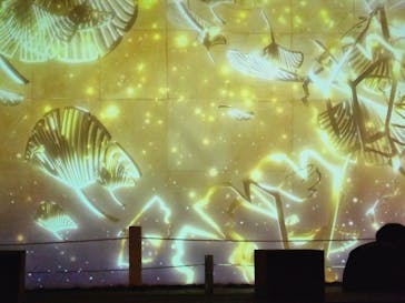 NAKED meets 二条城 2025 観月に投稿された画像（2024/12/4）