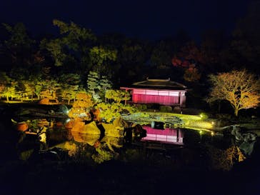 NAKED meets 二条城 2025 観月に投稿された画像（2024/12/4）