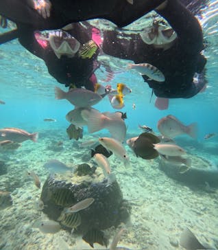 沖縄マリンサービス碧に投稿された画像（2024/12/4）