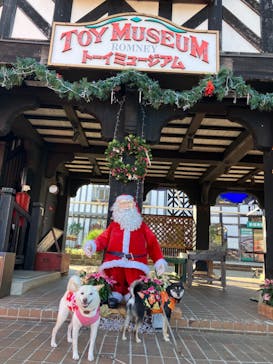 修善寺虹の郷に投稿された画像（2024/12/4）