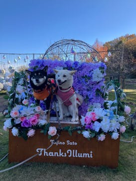 修善寺虹の郷に投稿された画像（2024/12/4）