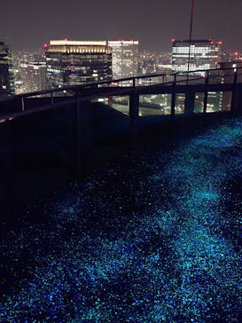 梅田スカイビル・空中庭園展望台に投稿された画像（2024/12/4）