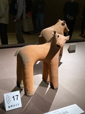 挂甲の武人 国宝指定50周年記念 特別展「はにわ」@東京国立博物館 平成館に投稿された画像（2024/12/4）