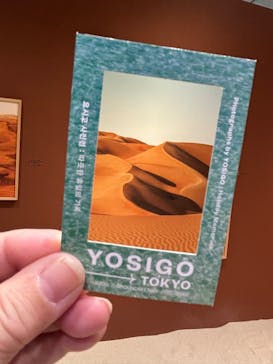 YOSIGO 写真展 Holiday Memories - 旅の瞬間 -に投稿された画像（2024/12/4）