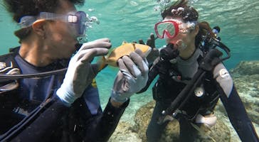 武藤潜水に投稿された画像（2024/12/4）