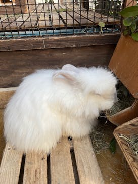 神戸どうぶつ王国に投稿された画像（2024/12/4）