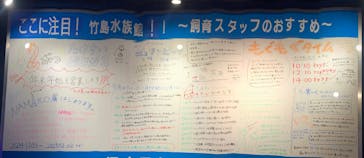 竹島水族館に投稿された画像（2024/12/2）